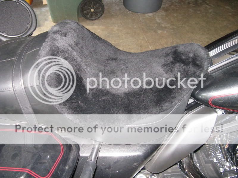 Alaskan Sheepskin seat cover owners..in here please Page 2 Harley